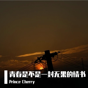 青春是一封无果的情书