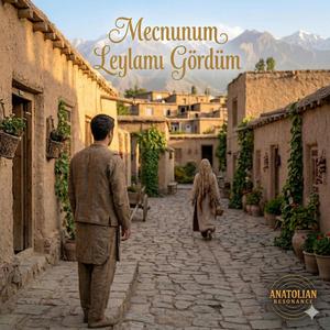 Mecnunum Leylamı Gördüm