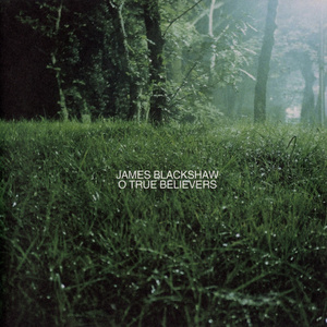 The Elk With Jade Eyes