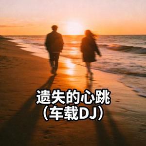 遗失的心跳 (DJ版)