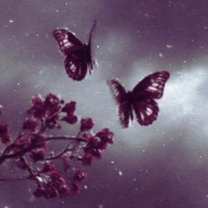 slow down x stereo love