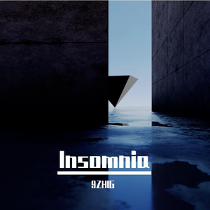 Insomnia (9ZHIG Remix)