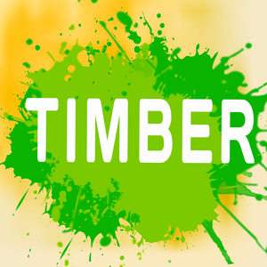 Timber (A Tribute to Pitbull and Ke$ha)