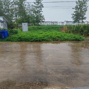 T’embrasser entre la réalité e