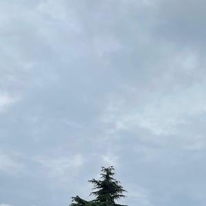 张雨村的突围（foresee the future war Afulander VER.）_1