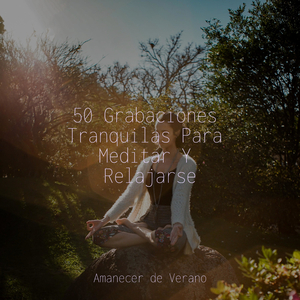 Mareas Crecientes de Armonía