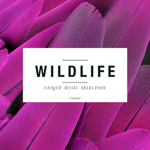 Night (Ben Teufel Remix)