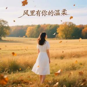 风里有你的温柔