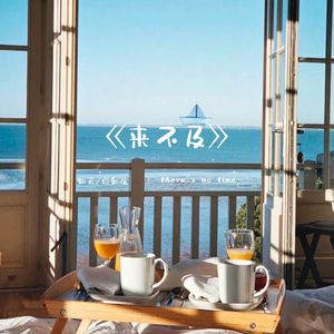 来不及(让你看见我的痛)