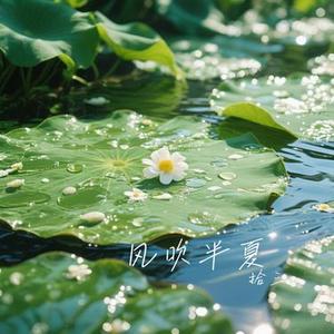 风吹半夏(Cover 毛不易)