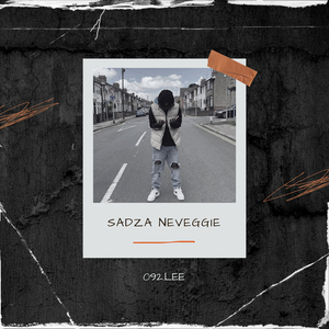 Sadza neVeggie