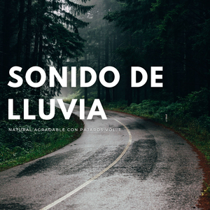Sonidos De Lluvia Para Dormir