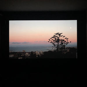 我们都在爱情里少一点天分