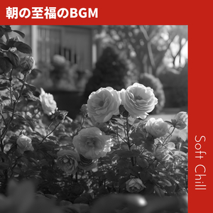 Mornings in the Woods