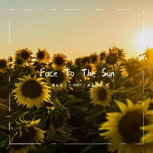 Face To The Sun - 洛天依中文版