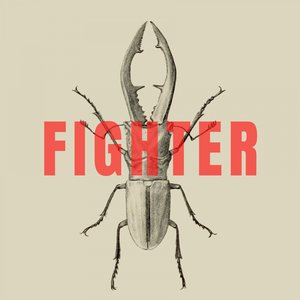 Fighter