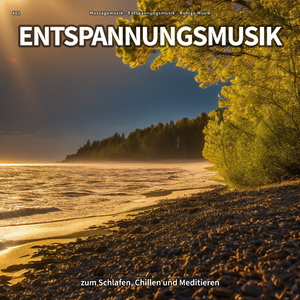 Die Erkenntnisse