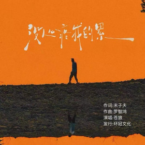 没人心疼我的累 (DJ彭锐版)