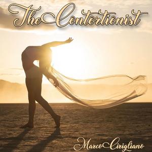 The Contortionist