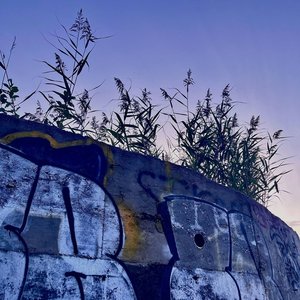 солнечный круг