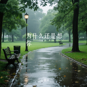为什么还是想你