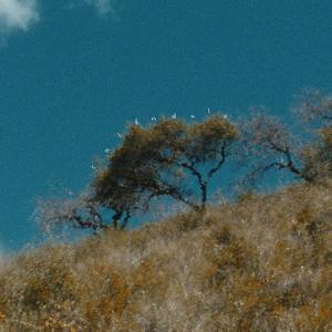 Caléndula (feat. sebasmoon)