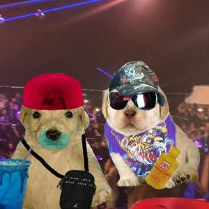 cachorra (feat. Polari5, J Caper & Gattaca)