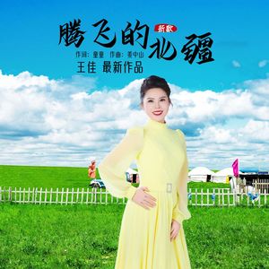 腾飞的北疆