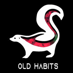 Old Habits (Radio Edit)