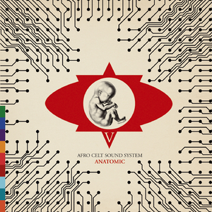 When I Still Needed You