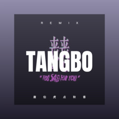 红颜无罪 (DJ版)