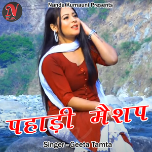 Pahadi Mashup (Pahadi)