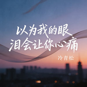 以为我的眼泪会让你心痛 (DJ男版)