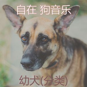 回忆(睡觉的小狗)