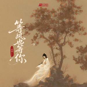 等风也等你（加速版）