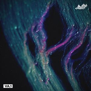 Tucan Sobre Talamanca (Original Mix)