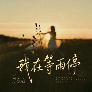 我在等雨停