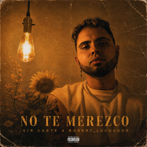 NO TE MEREZCO