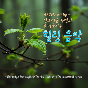 처음 가보는 오솔길 (First time walking the forest path)