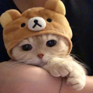 给电影人的情书（翻自 蔡琴）