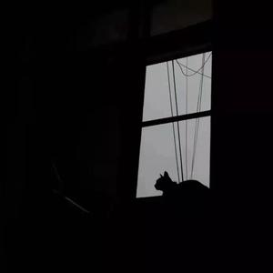 Hero Is a Black Cat（不插电版）