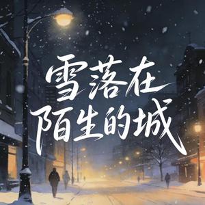 雪落在陌生的城（沧桑版）