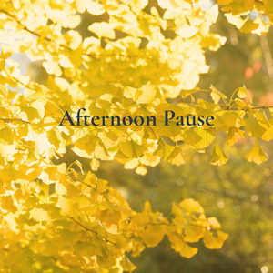 Afternoon Pause