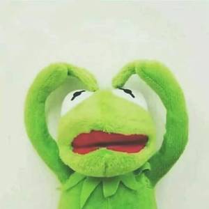 永不消逝的彩虹