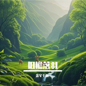 旧檐落羽
