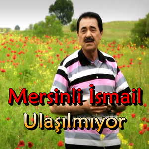 Ulaşılmıyor