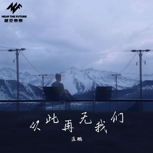 从此再无我们