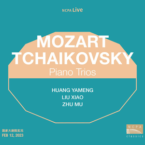 A 小调钢琴三重奏 “纪念一位伟大的艺术家” 第七变奏 有节制的快板（Piano Trio in A minor, Op. 58 "In Memory of a Great Artist" II. A. Variazione VII. Allegro moderato） (Live)