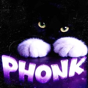 SLEEPIN CITY PHONK（白菜对我笑）