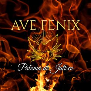 Ave Fenix